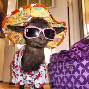 Meet your Posher, Christen